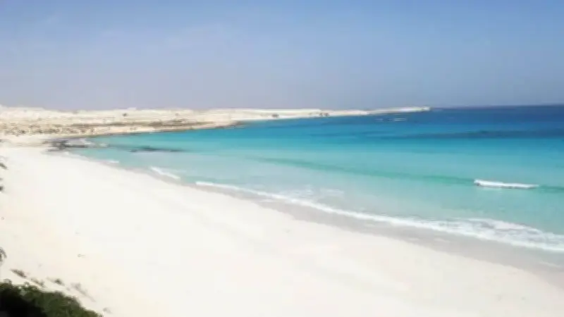 نائب: الساحل الشمالي أصبح مركزًا اقتصاديًا عالميًا بفضل المشروعات القومية