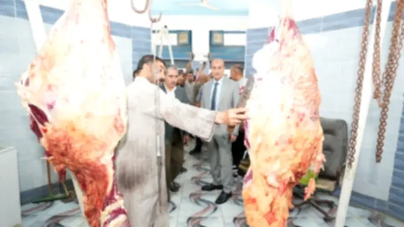 تكثيف الحملات الرقابية على اللحوم لضمان جودة الأسواق قبل عيد الأضحى