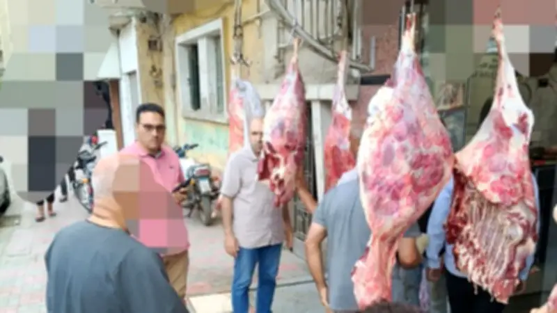 ضبط نصف طن لحوم وكبدة فاسدة في مطعم بالمنوفية