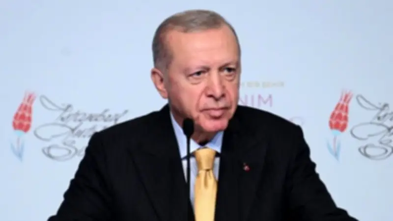 شهباز شريف وأردوغان يتفقان على تعزيز التعاون الاستثماري والإقليمي