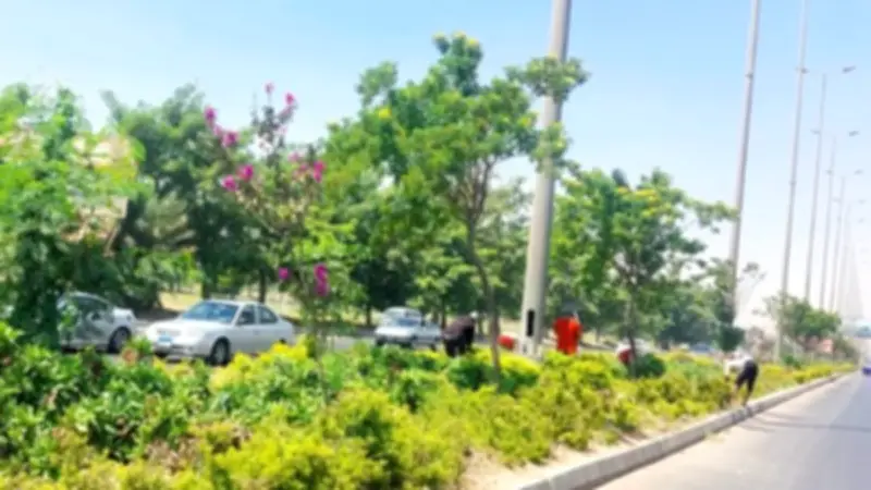 حدائق الحيوان والطيور والأسماك تستعد للعيد بخطة متكاملة لمواجهة الزحام