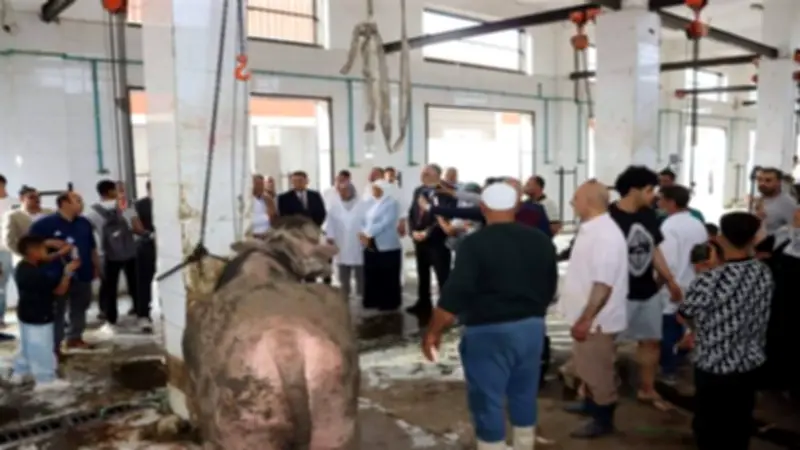 وزير الزراعة يرفع الاستعداد القصوى بالمجازر والقطاعات الخدمية خلال عيد الأضحى