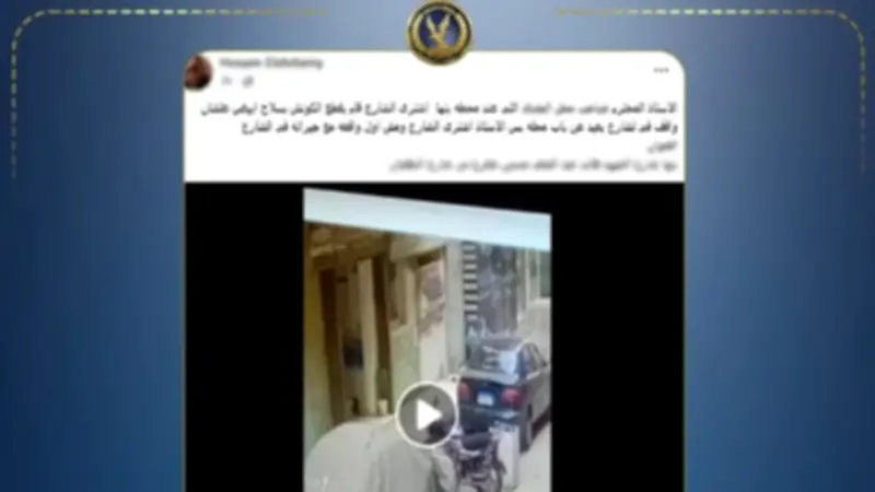 الداخلية تكشف تفاصيل واقعة تضرر سيدة من مالك محل بعد إتلاف سيارتها بالقليوبية