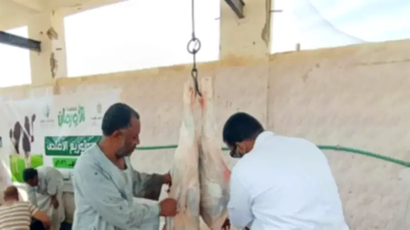 رفع الاستعداد القصوى بمجازر أسوان طوال عيد الأضحى وتكثيف النظافة والتطهير