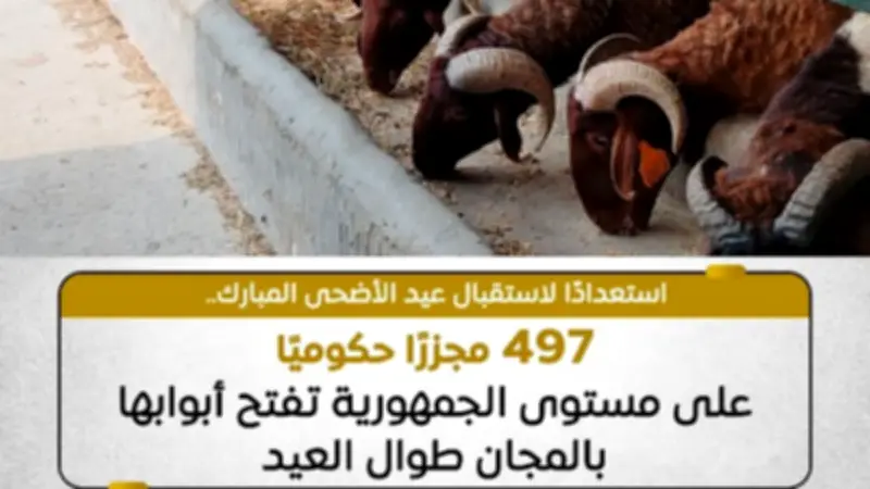 وزارة الزراعة تحذر من شراء اللحوم عبر مواقع التواصل الاجتماعي في عيد الأضحى