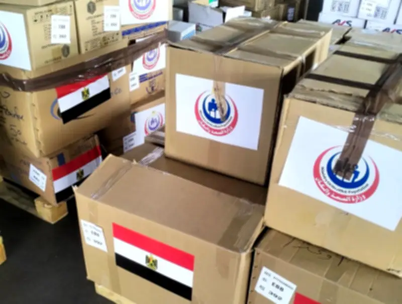 مصر ترسل شحنة أدوية إلى الكونغو الديمقراطية وأوغندا لمواجهة الإيبولا