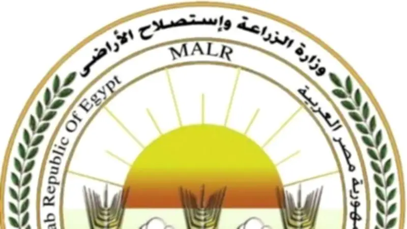 حصاد ذبح الأضاحي بالمجان في أول أيام عيد الأضحى