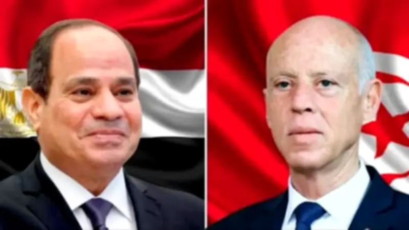 السيسي وقيس سعيد يبحثان تعزيز العلاقات المصرية التونسية
