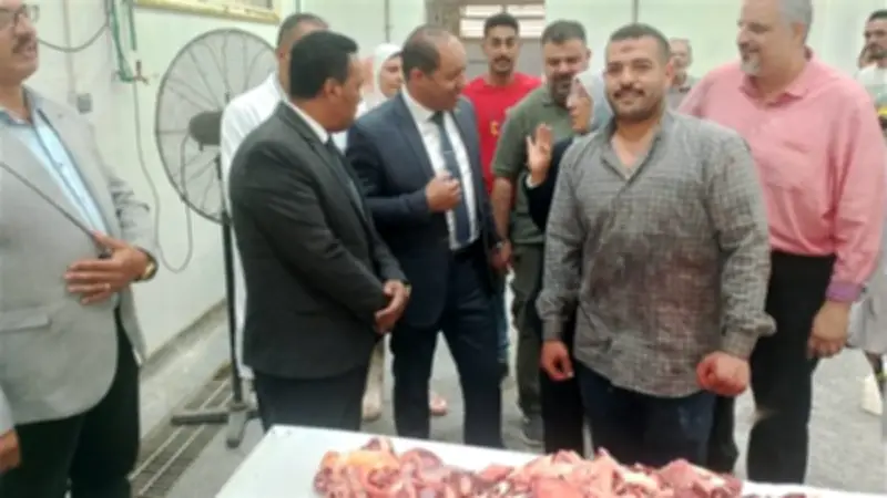 محافظ الدقهلية: المجازر تعمل بكامل طاقتها طوال أيام العيد