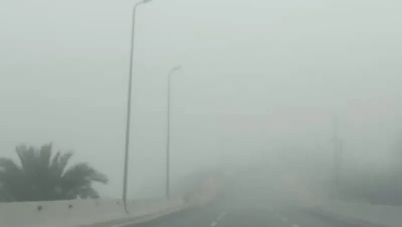 نصائح مهمة للقيادة الآمنة أثناء الشبورة المائية بعد إجازة العيد
