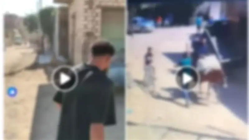 كشف حقيقة مشاجرة المنيا: خلافات جيرة وليس طائفية والأمن يتحرك