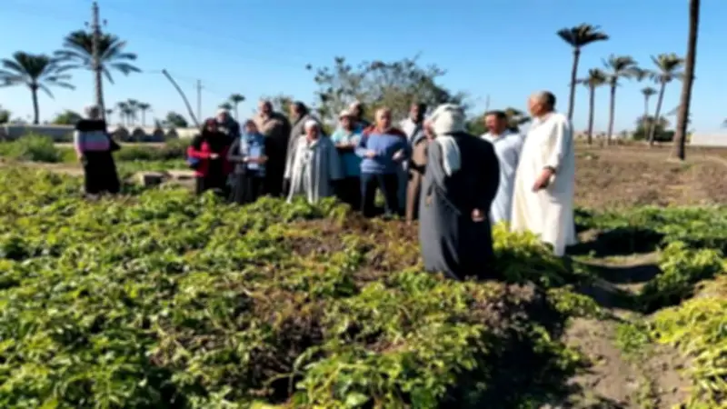 مركز معلومات تغير المناخ يوصي بعدم الإفراط في الري بسبب اعتدال الحرارة