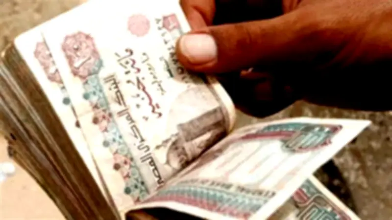 التصدق بثمن الأضحية لا يجزئ عنها شرعًا.. دار الإفتاء توضح