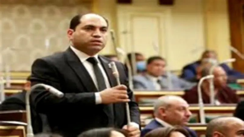 نائب: ما يُتداول عن قانون الأحوال الشخصية مجرد اجتهادات شخصية
