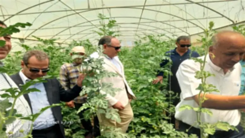 رئيس بحوث الزراعة يتفقد محطات كفر الشيخ في رابع أيام العيد