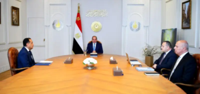 الرئيس السيسي: التعليم العالي ركيزة أساسية في بناء الإنسان المصري