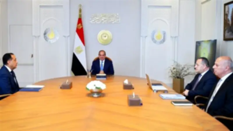 السيسي يوجه بتطوير التعليم العالي وتحويل مصر لمركز إقليمي