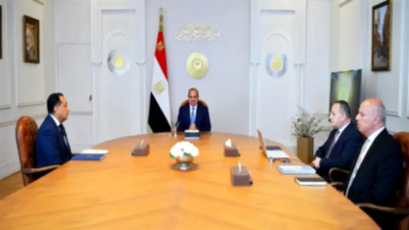 الرئيس السيسي يتابع خطة تحويل مصر لمركز إقليمي ودولي للتعليم العالي