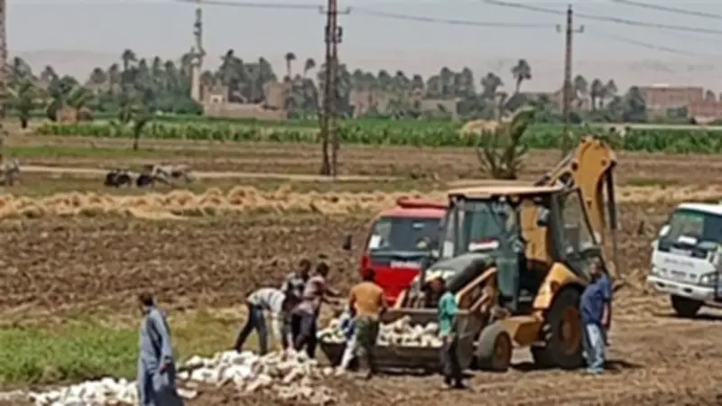 إحباط بناء مخالف على نصف فدان بالصلعا وإحالة المتعدي للنيابة