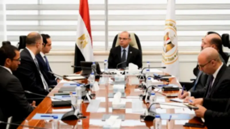 وزير الاستثمار يبحث تعزيز دقة احتساب الاستثمار الأجنبي المباشر مع شركة DPI