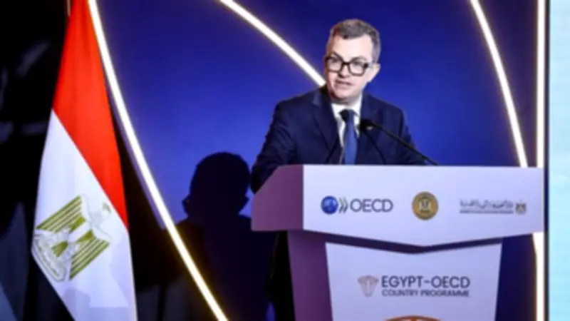 وزير التخطيط: البرنامج القطري مع OECD محطة استراتيجية للتعاون والتنمية