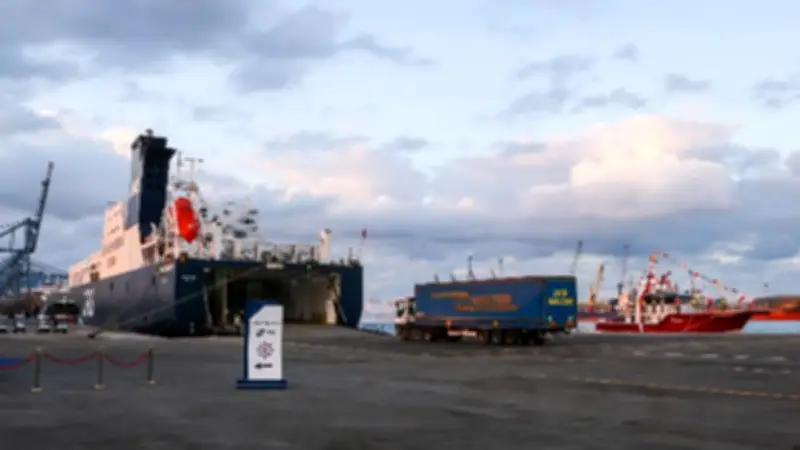 سفينة RoRo تغادر ميناء دمياط بعد تداول 5960 طن بضائع متنوعة
