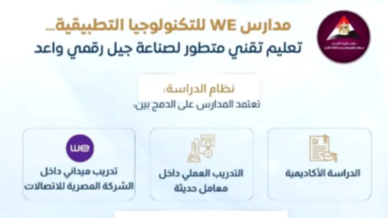 مدارس WE للتكنولوجيا التطبيقية: جيل رقمي واعد في مصر