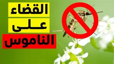 أفضل 10 طرق طبيعية لطرد الناموس من المنزل وعلاج لدغاته
