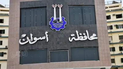 محافظ أسوان ينسق مع الدقهلية لنقل جثامين 10 ضحايا حادث توشكى