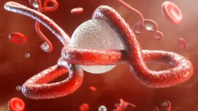 تحذير أفريقي: 10 دول مهددة بتفشي إيبولا والكونغو وأوغندا بؤرتا الوباء