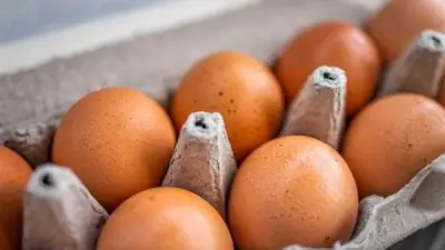 انهيار جديد في سعر البيض.. الكرتونة تحت الـ100 جنيه رسميًا