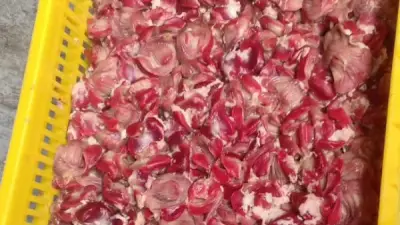 بورسعيد تضبط طن و100 كجم دواجن فاسدة قبل دخولها الأسواق