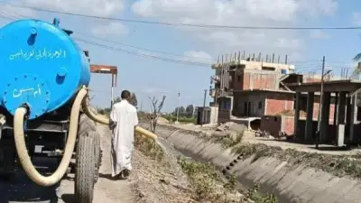 محافظ كفر الشيخ يتابع زراعة الأشجار بمركز الرياض ضمن مبادرة 100 مليون شجرة