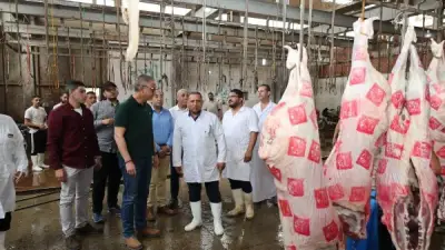 الزراعة: ذبح 11,719 أضحية مجاناً بالمجازر الحكومية في ثاني أيام عيد الأضحى