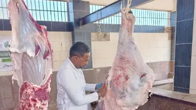 أسوان: ذبح 1281 أضحية في المجازر الحكومية خلال عيد الأضحى