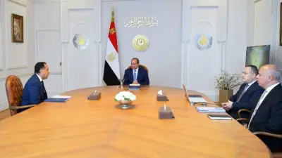 الرئيس السيسي يراجع خطة تطوير التعليم العالي بـ 129 جامعة في مصر