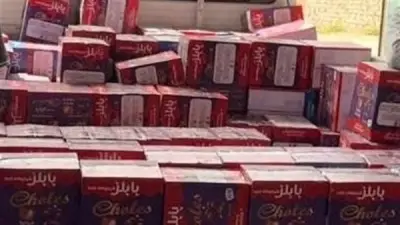 ضبط 140 مخالفة تموينية في حملة مكبرة بالفيوم تشمل أندومي وأعلاف فاسدة