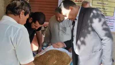 محافظ المنوفية: توريد 140 ألف طن قمح منذ بدء موسم الحصاد