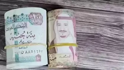 استقرار سعر الريال السعودي عند 14.22 جنيها في البنك المركزي اليوم
