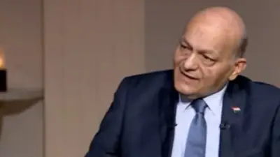 رئيس لجنة الأحوال الشخصية: المذاهب لم تحدد سن الحضانة والمحكمة الدستورية حددت 15 سنة