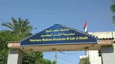 تحصين 155710 طائر ضد الأمراض الوبائية في كفر الشيخ خلال مايو