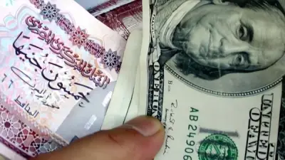 سعر الدولار اليوم في مصر السبت 16 مايو 2026 بعد ارتفاع الاحتياطي الأجنبي