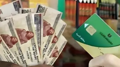 الحكومة تعتمد منحة الـ1600 جنيه على بطاقات التموين.. التفاصيل وموعد الصرف