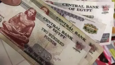 صرف منحة التموين 1600 جنيه: موعد وآلية الاستعلام للمستحقين