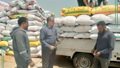 تموين الشرقية: استقبال 166 ألف طن من الأقماح المحلية حتى الآن