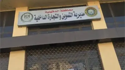 ضبط 187 مخالفة ومصادرة 32 طن مخللات في حملات تموينية بالدقهلية