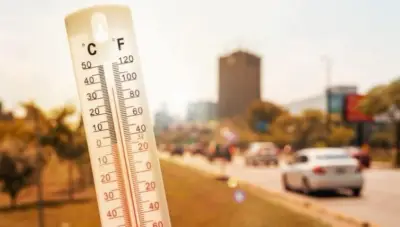 حالة الطقس غدا 19 مايو 2026: معتدل نهارا لطيف ليلا على هذه المناطق