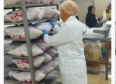 ذبح أكثر من 2 مليون طائر في مجازر الجيزة خلال أسبوع
