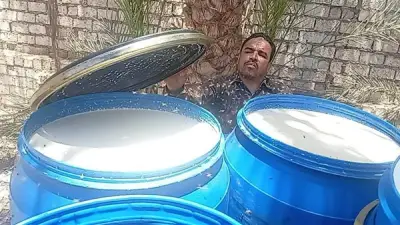 ضبط 2 طن ألبان فاسدة داخل معامل ومصنع بالمنيا في حملة رقابية
