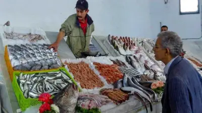 أسعار الأسماك والمأكولات البحرية في سوق العبور اليوم الأربعاء 20 مايو 2026